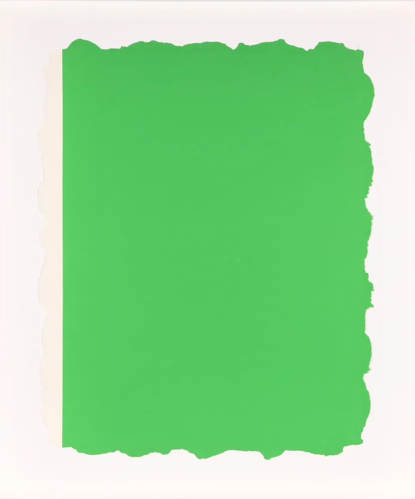 Acquatinta Flavin - Untitled, from Sequences - Green