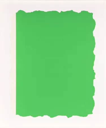 Acquatinta Flavin - Untitled, from Sequences - Green