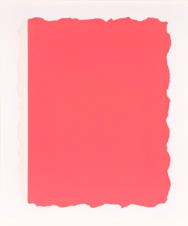Acquatinta Flavin - Untitled, from Sequences - Pink