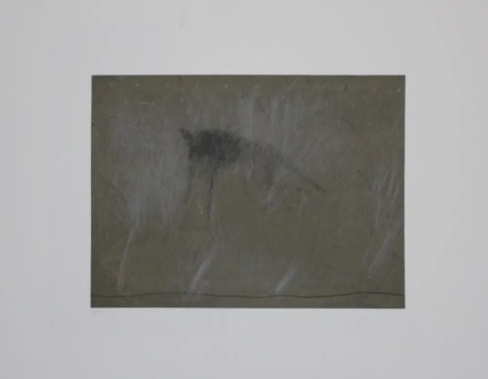 Incisione Fleischmann - Beast