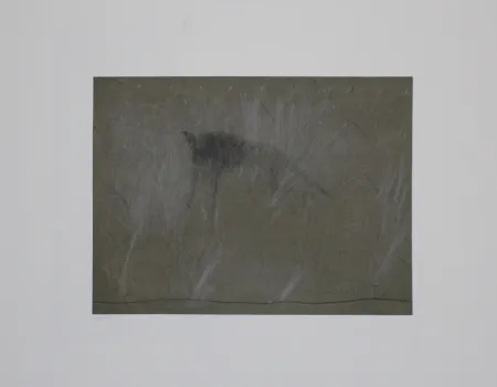 Incisione Fleischmann - Beast