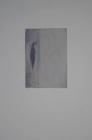 Incisione Fleischmann - Brunnenhell