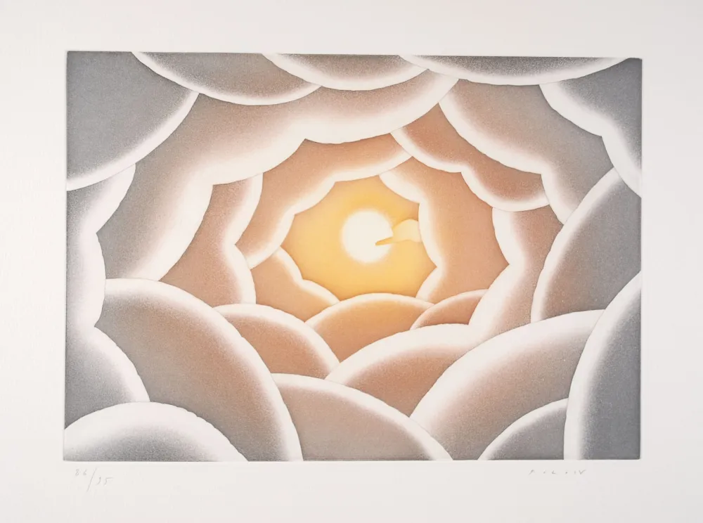 Acquaforte E Acquatinta Folon - A propos de la lumière