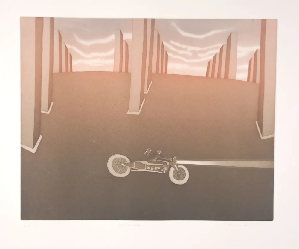 Acquaforte E Acquatinta Folon - Crépuscule