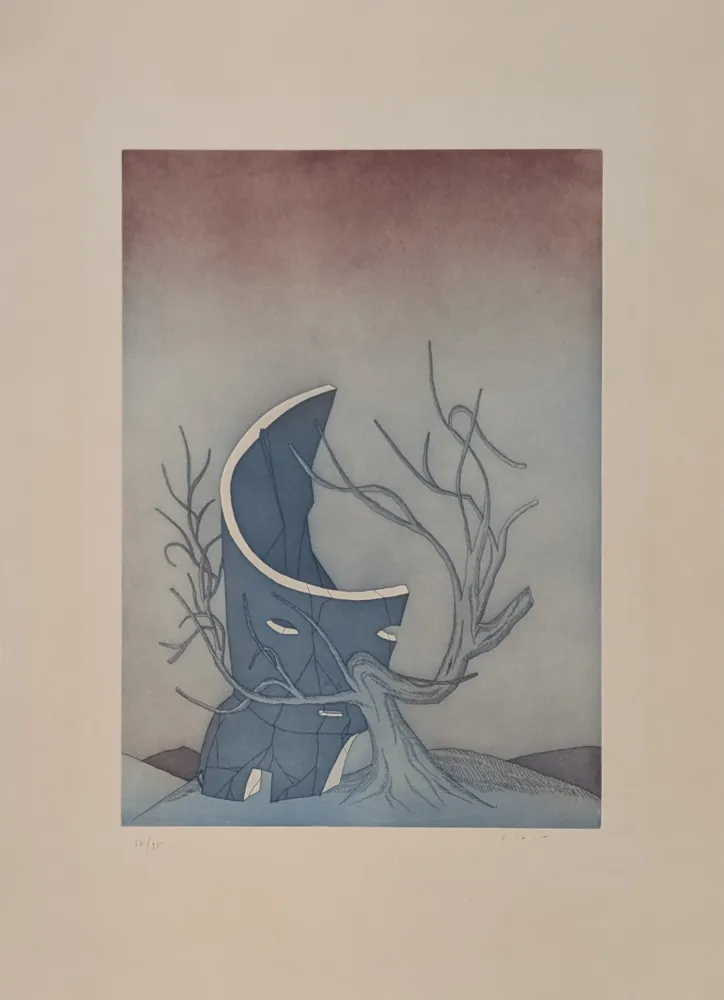 Acquaforte E Acquatinta Folon - Les Ruines circulaires V 