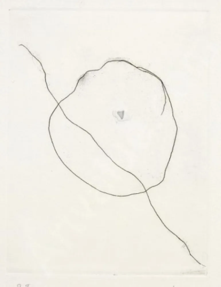 Acquaforte Fontana - L'Épée dans l'eau