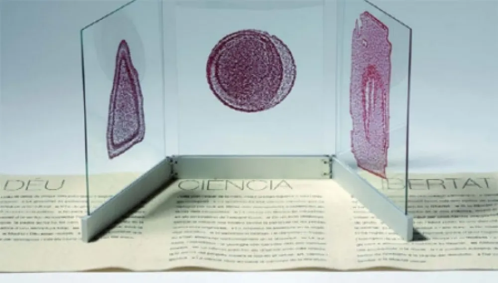 Libro Illustrato Fontcuberta - Deu, ciència i llibertat