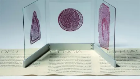 Libro Illustrato Fontcuberta - Deu, ciència i llibertat