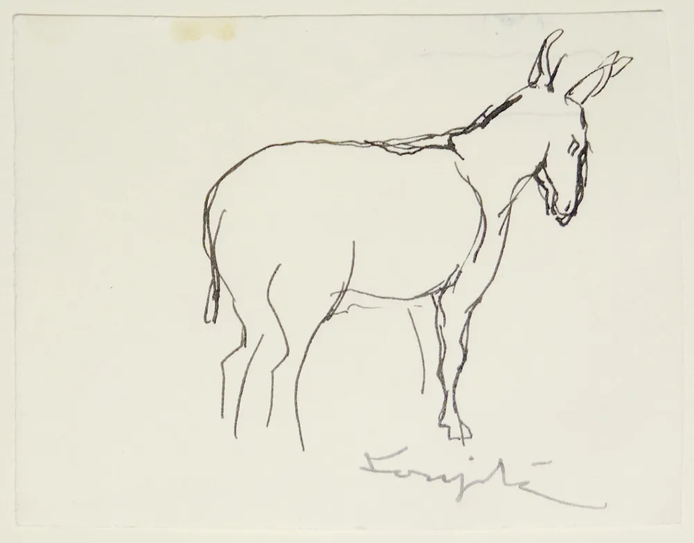 Non Tecnico Foujita - L'âne