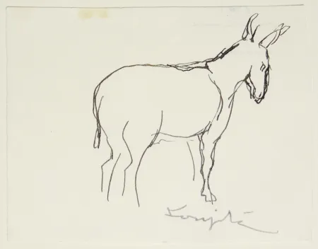 Non Tecnico Foujita - L'âne