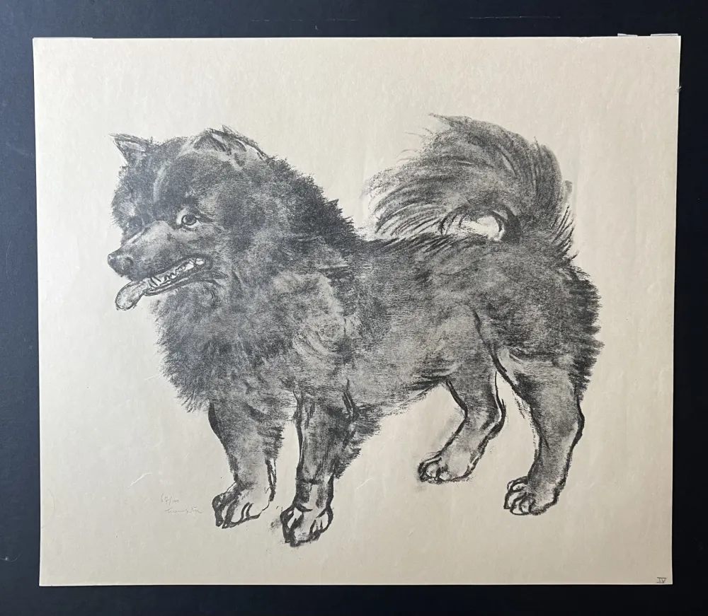 Litografia Foujita -  Le Chien