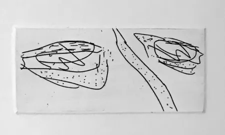 Acquatinta Francis - Self Portrait