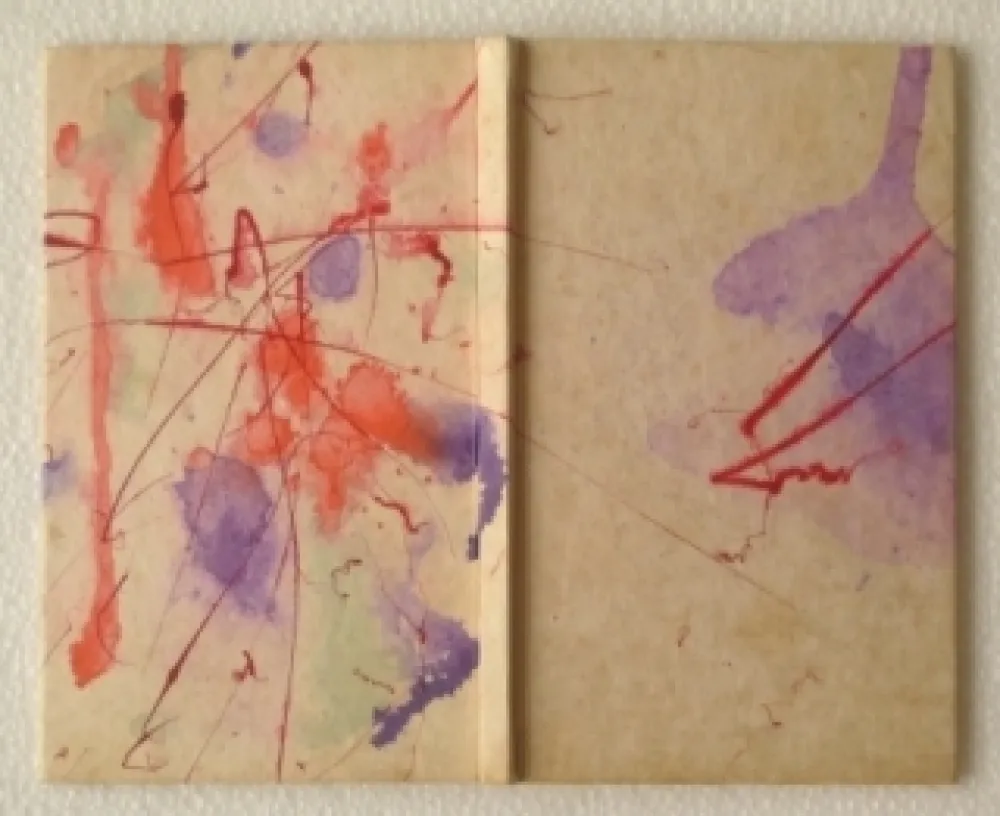 Libro Illustrato Francis - YEA