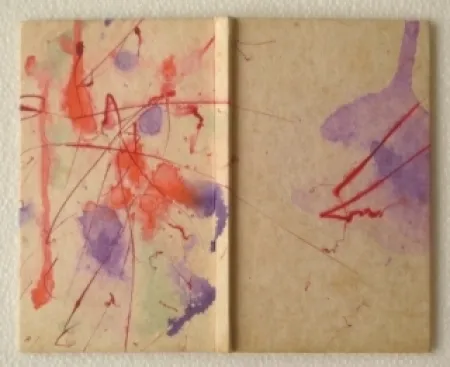 Libro Illustrato Francis - YEA