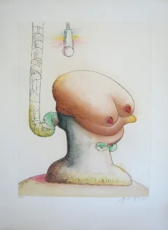 Acquaforte E Acquatinta François - Sans titre 5