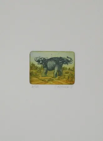 Acquaforte E Acquatinta Franke - Elefanten