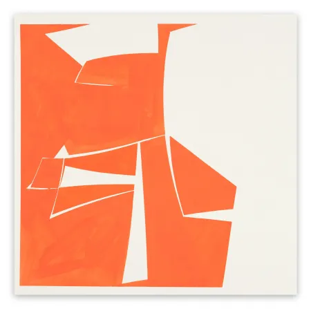 Non Tecnico Freeman - Covers 20 Red