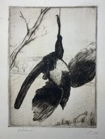 Acquaforte Frélaut - La pie morte