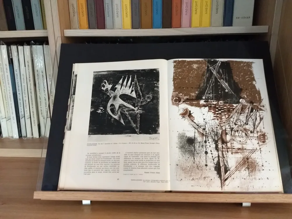 Libro Illustrato Friedlaender - No 40