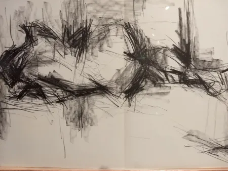 Libro Illustrato Fromanger - DLM 150