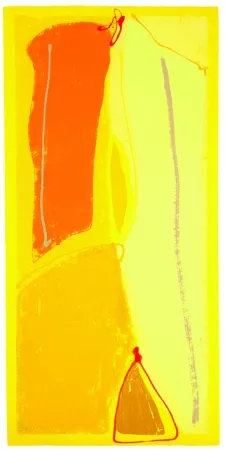 Serigrafia Frost - Yellow Buzz - Ohio