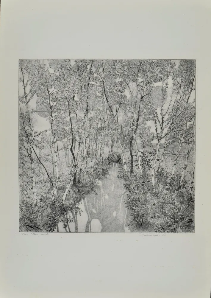 Acquaforte Galli - Alberi malati