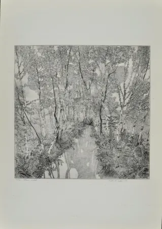 Acquaforte Galli - Alberi malati