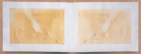 Incisione Galliani - 