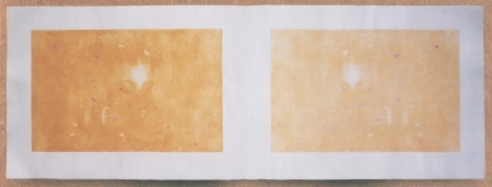 Incisione Galliani - 