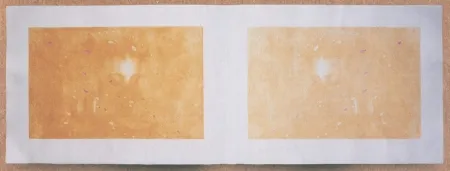 Incisione Galliani - 