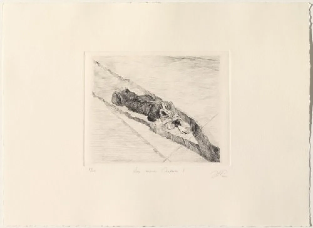 Punta Secca Gamarra - Los nuevos Oradores I