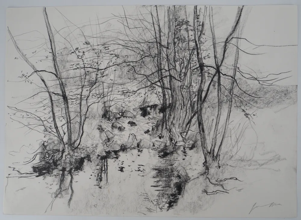 Non Tecnico Gantner - Bord de rivière