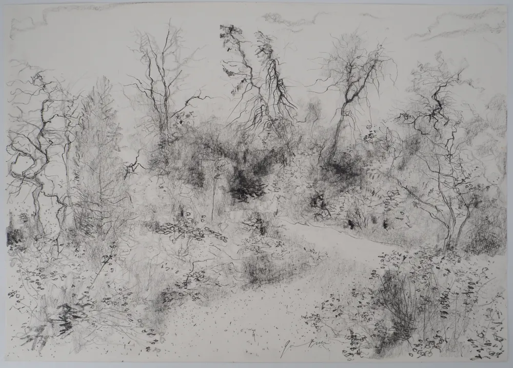 Non Tecnico Gantner - Jardin au printemps, 