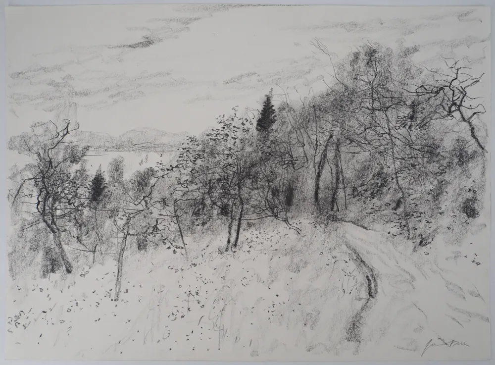 Non Tecnico Gantner - Le chemin du verger