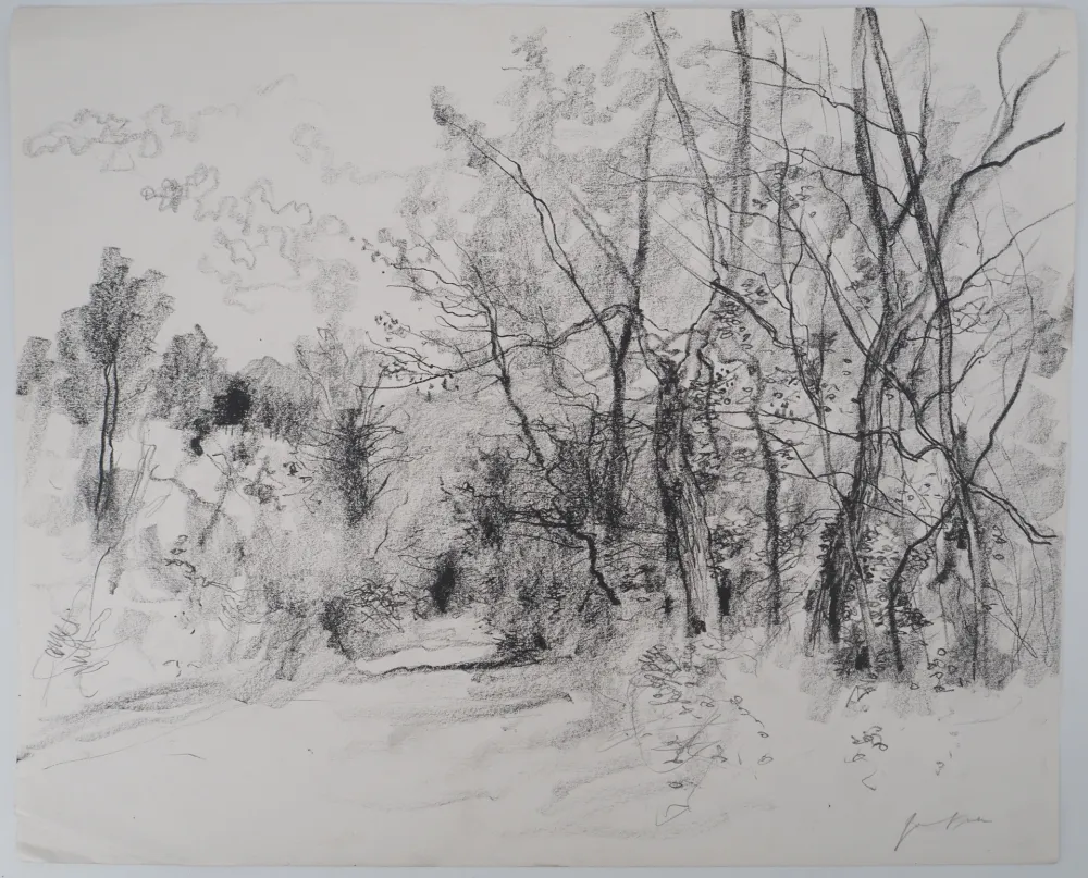 Non Tecnico Gantner - Route de campagne