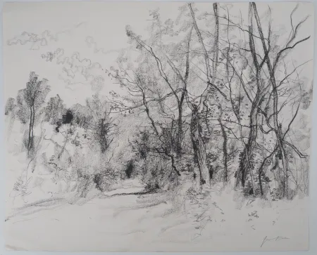 Non Tecnico Gantner - Route de campagne