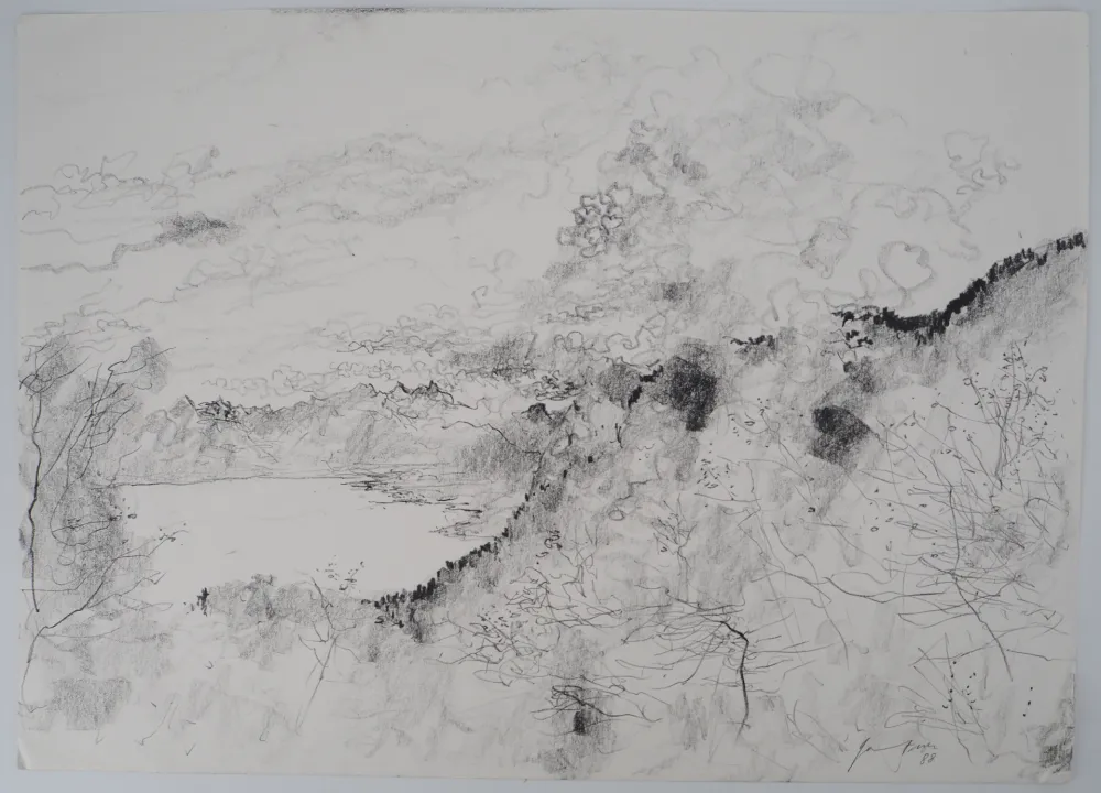 Non Tecnico Gantner - Suisse, Nuages sur le Lac Leman