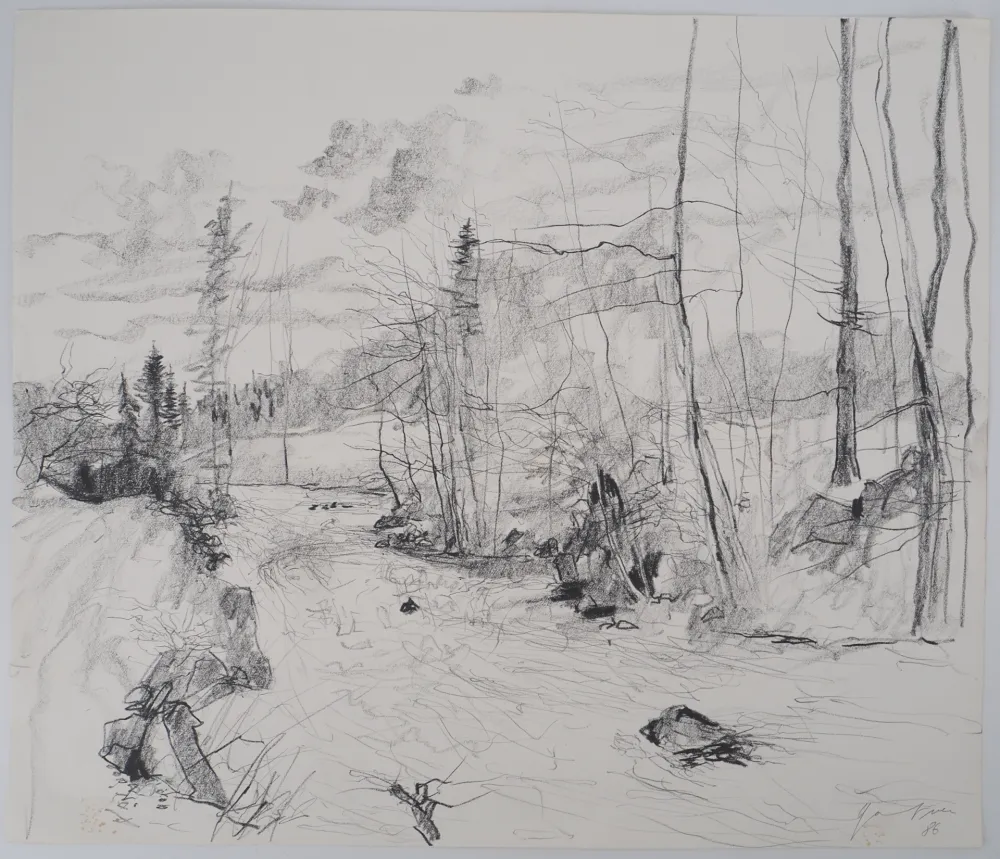 Non Tecnico Gantner - Torrent dans les Vosges