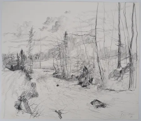 Non Tecnico Gantner - Torrent dans les Vosges