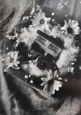 Fotografie Garduño - 