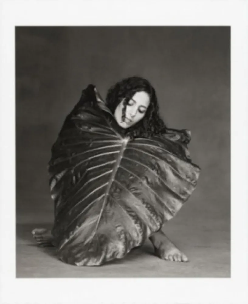 Fotografie Garduño - Corazón