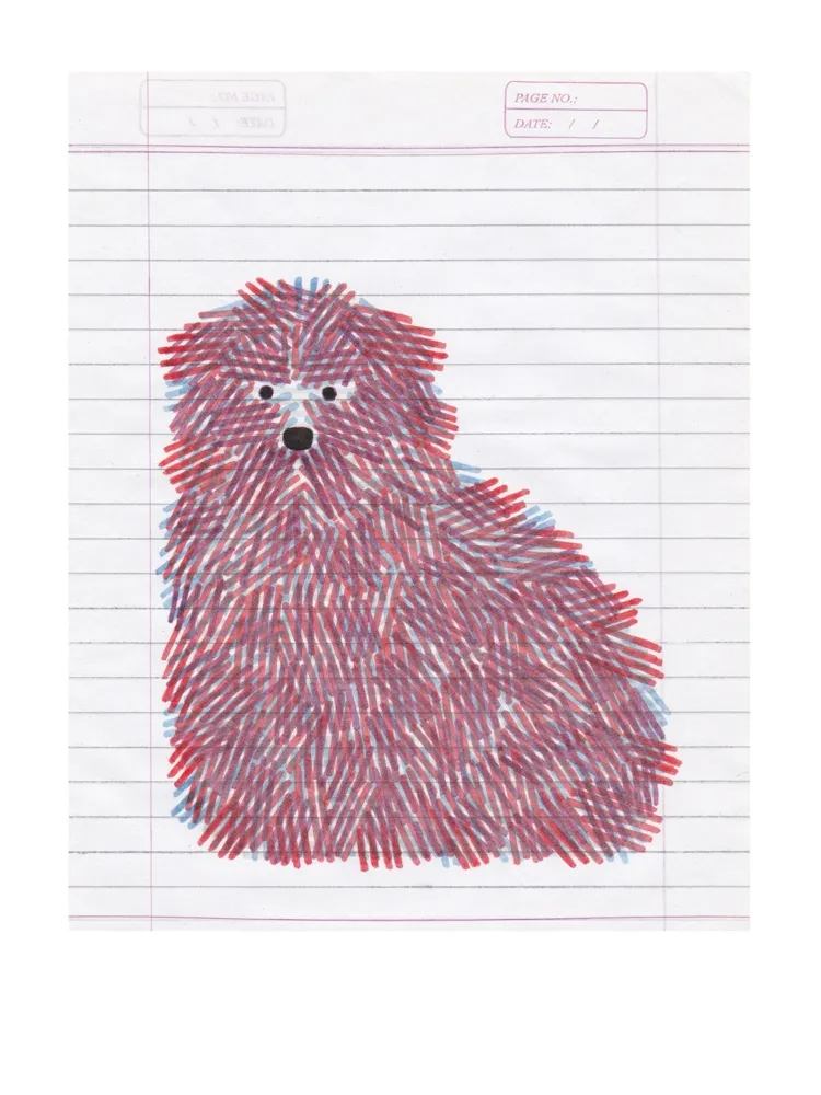 Grafica Numerica Gerner - Bouvier bichrome