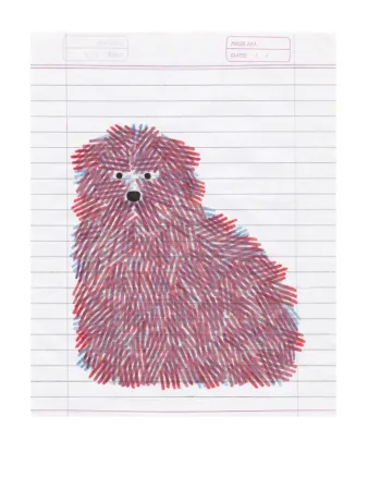 Grafica Numerica Gerner - Bouvier bichrome