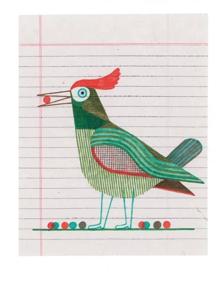 Grafica Numerica Gerner - Pic Ploc