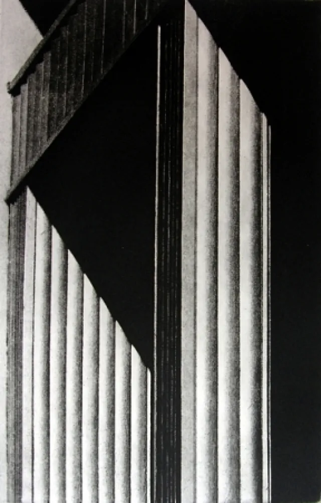 Libro Illustrato Gibson - Metafora