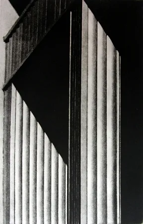 Libro Illustrato Gibson - Metafora