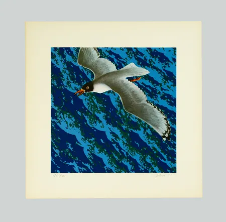 Serigrafia Gilardi - Gabbiano