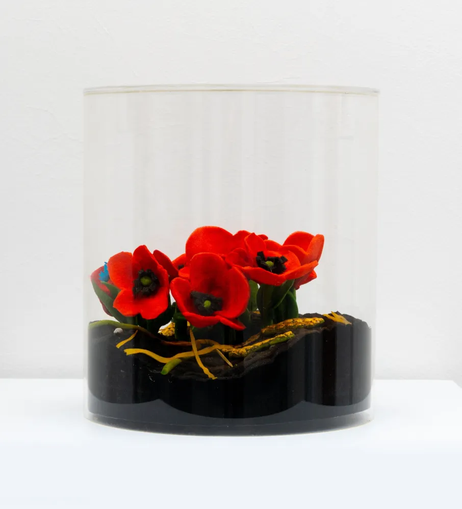 Multiplo Gilardi - Papaveri