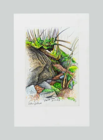 Non Tecnico Gilardi - Prà del torno