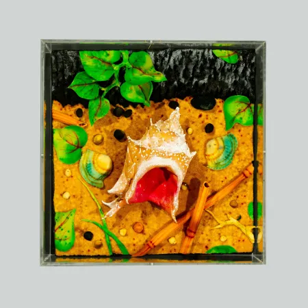 Non Tecnico Gilardi - Spiaggia vulcanica